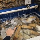 MIN 스시 | 캐나다 밴쿠버 워홀 일기#3 - 메트로타운(T&amp;T, 스시가든), 세븐일레븐 피자, 다운타운 PARQ 카지노