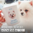 형제인쇄판촉물 | 반려견 포토머그컵 주문제작 후기 머그컵인쇄 품질 대만족