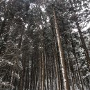 정남 목장 이미지