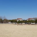 파라독스글램핑 이미지