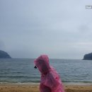 남면농협하나로마트 이미지