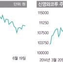 경쟁기업 분석 - 신영와코루 vs 남영비비안 이미지