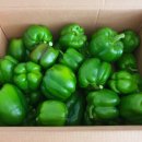 청파농장 이미지