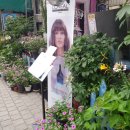 미미이용원 네이버블로그