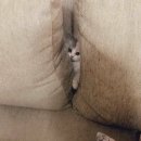 땡겨PC 이미지
