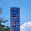 고아라해변 에서 이미지