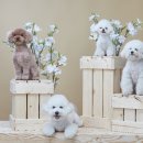 멋지개 예쁘개 이미지