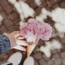 세종호수공원 산책로 | 🌸 세종 호수공원 벚꽃길, 대전 근교에 이런 데이트장소가 있었나요?!