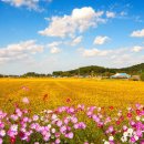 섬진강변 자전거하이킹 이미지