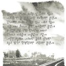 권*진 - 미추홀구 미추로 7 | 권*진