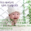 다은