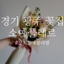 소예플레르 이미지