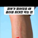 (주)서지너스 네이버블로그