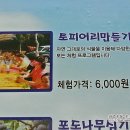 토피어리 만들기 체험(종현마을) 네이버블로그