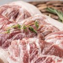 돼지영농후계자 이미지