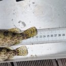 덕곡낚시터 이미지