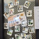 프렌즈 스크린 골프 아카데미 DJ 이미지