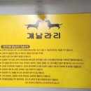 개날라리 | 안산 애견미용 포메 곰돌이컷 가위컷 저렴한 안산 개날라리