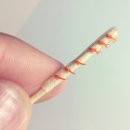 누누하우스 이미지