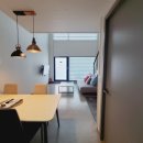 플레이독애견카페 이미지