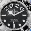 N&A로열독 이미지