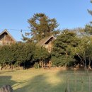 통나무파크 이미지