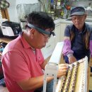 왕벌농장 이미지