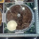베스킨라빈스 메뉴 신제품 추천과 나눠먹는 와츄원 쿠폰 사용후기