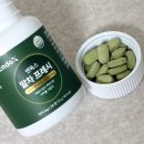 일종의습관 | 몸속 맑게 비우는 습관 엔독스 말차 프레시 후기