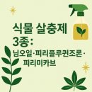 플루조