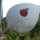 삼당지 이미지