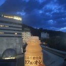 오즈커피&맥주 | [일본] 마쓰야마 2박3일 여행후기_2일차 (마쓰야마근교여행 / 오즈맛집 / 마쓰야마맛집)