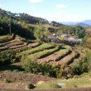 수지면 마륜마을 이미지