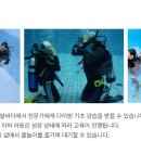 세부전문투어 이미지