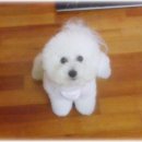 몽실이 이미지