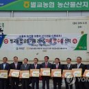 벌교농협농산물산지유통센터 이미지