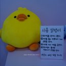 외대앞 예쁜 디저트카페 멜팅폼