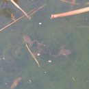 이시돌쉼터 이미지