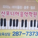 신포니아음악학원 네이버블로그