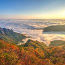 구봉산 이미지