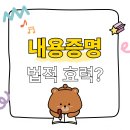 내용 이미지