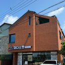 미다스펫 네이버블로그