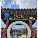 흥국사길 티스토리