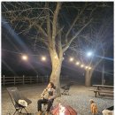 꽃지늘봄펜션 이미지