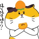 보라약국 이미지