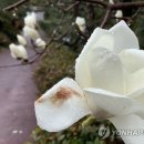 박지호테니스장