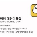 푸리미엄 이미지