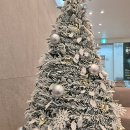 일곡정형외과의원 | 전라남도 장성군 오십견 전문 병원 좋아요 추천 List 6곳