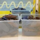 점핑파크 계양점 이미지