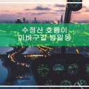 태화고무신발 이미지